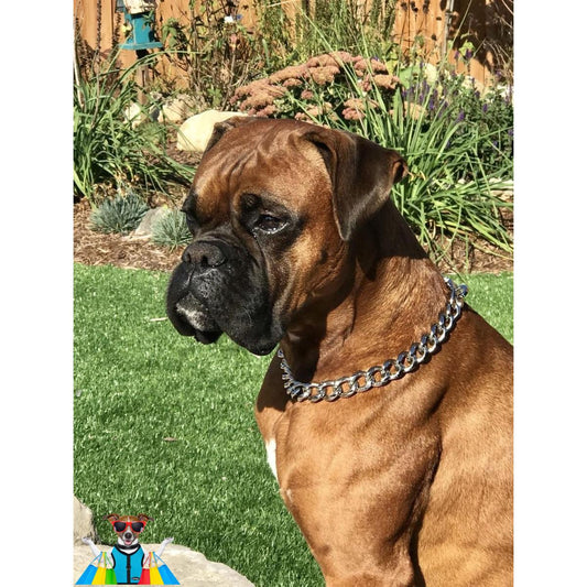 18" Heavy-Duty Metal Dog Choke Chain Collar – Chrome Training Slip Chain